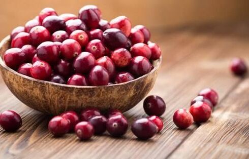 Parasiten Blaubeerbeeren