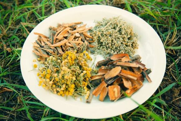 Hausmittel gegen Würmer und Parasiten beim Menschen