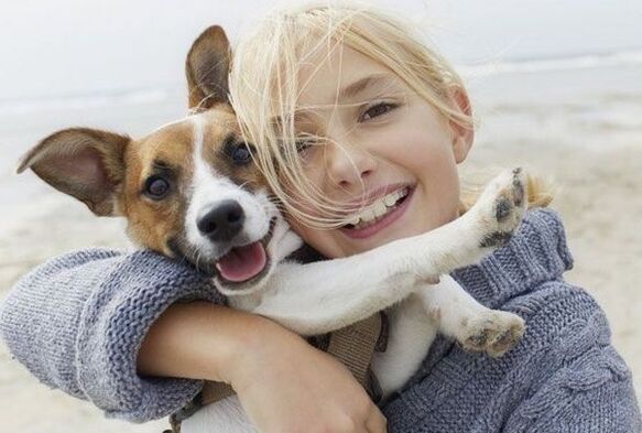 Parasiteninfektion eines Hundes