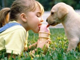 Mädchen isst Eis mit Hund und infiziert sich mit Parasiten